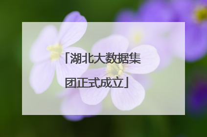 湖北大数据集团正式成立