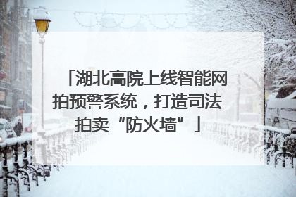 湖北高院上线智能网拍预警系统，打造司法拍卖“防火墙”