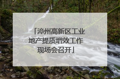 漳州高新区工业地产提质增效工作现场会召开