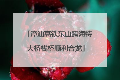 漳汕高铁东山跨海特大桥栈桥顺利合龙