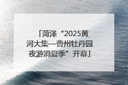 菏泽“2025黄河大集—曹州牡丹园夜游消夏季”开幕