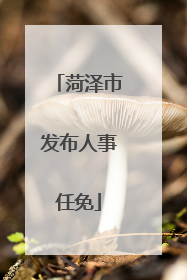 菏泽市发布人事任免