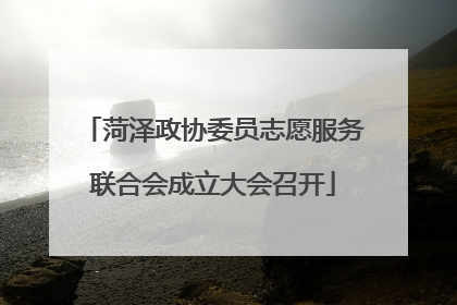 菏泽政协委员志愿服务联合会成立大会召开