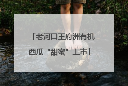 老河口王府洲有机西瓜“甜蜜”上市