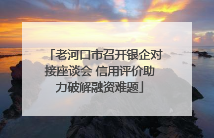 老河口市召开银企对接座谈会 信用评价助力破解融资难题