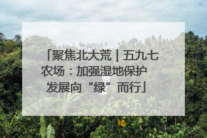 聚焦北大荒｜五九七农场：加强湿地保护 发展向“绿”而行