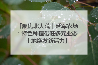 聚焦北大荒｜延军农场：特色种植带旺多元业态 土地焕发新活力