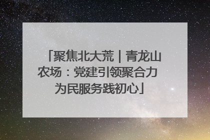 聚焦北大荒｜青龙山农场：党建引领聚合力 为民服务践初心
