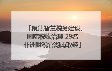 聚焦智慧税务建设、国际税收治理 29名非洲财税官湖南取经
