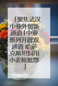 聚焦武汉中亚外贸新通道│中亚班列开辟双通道 哈萨克斯坦饲用小麦将抵鄂