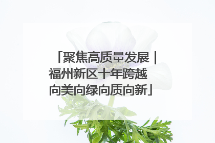 聚焦高质量发展｜福州新区十年跨越 向美向绿向质向新
