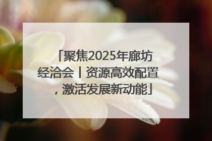 聚焦2025年廊坊经洽会丨资源高效配置，激活发展新动能