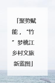 聚势赋能，“竹”梦桃江乡村文旅新蓝图