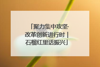 聚力集中攻坚·改革创新进行时｜石榴红里话振兴