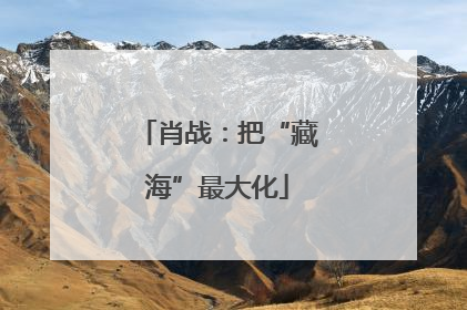 肖战：把“藏海”最大化