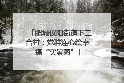 肥城仪阳街道下三合村：党群连心绘幸福“实景图”