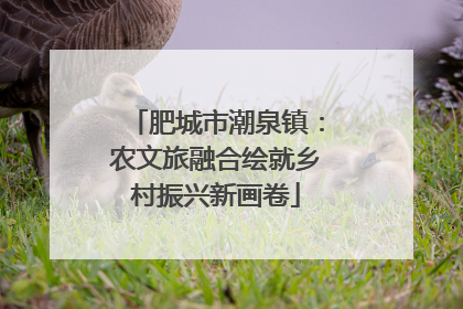肥城市潮泉镇：农文旅融合绘就乡村振兴新画卷