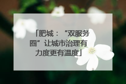 肥城：“双服务圈”让城市治理有力度更有温度