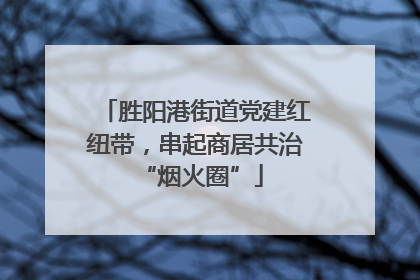 胜阳港街道党建红纽带，串起商居共治 “烟火圈”