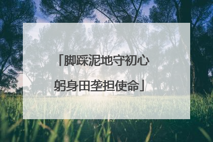 脚踩泥地守初心 躬身田垄担使命