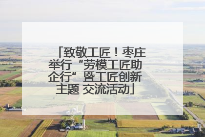 致敬工匠！枣庄举行“劳模工匠助企行”暨工匠创新主题 交流活动