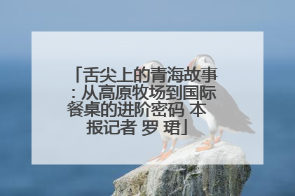 舌尖上的青海故事：从高原牧场到国际餐桌的进阶密码 本报记者 罗 珺