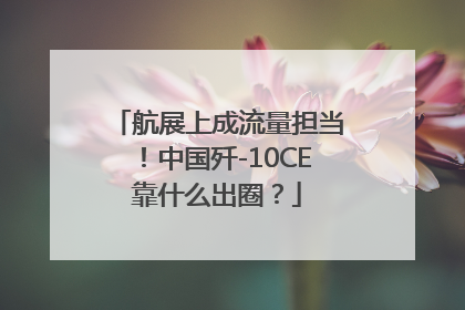 航展上成流量担当！中国歼-10CE靠什么出圈？