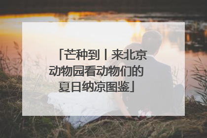 芒种到丨来北京动物园看动物们的夏日纳凉图鉴