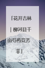 花开吉林｜柳河县千亩芍药竞芳菲
