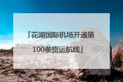 花湖国际机场开通第100条货运航线