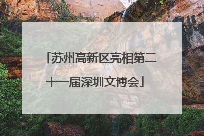 苏州高新区亮相第二十一届深圳文博会