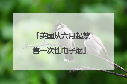 英国从六月起禁售一次性电子烟