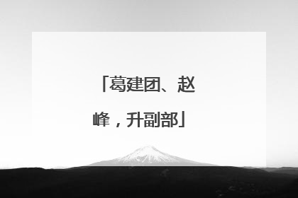 葛建团、赵峰，升副部