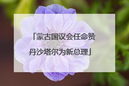 蒙古国议会任命赞丹沙塔尔为新总理