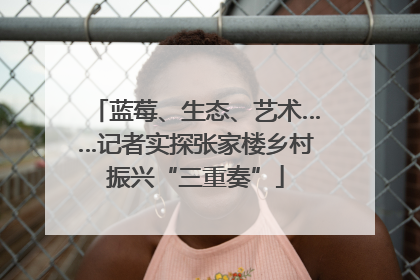 蓝莓、生态、艺术……记者实探张家楼乡村振兴“三重奏”