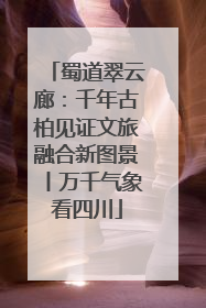蜀道翠云廊：千年古柏见证文旅融合新图景丨万千气象看四川