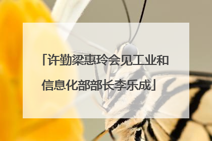 许勤梁惠玲会见工业和信息化部部长李乐成