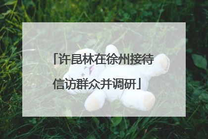 许昆林在徐州接待信访群众并调研
