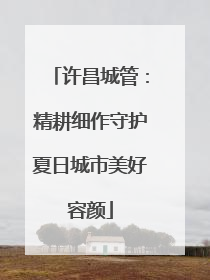 许昌城管：精耕细作守护夏日城市美好容颜