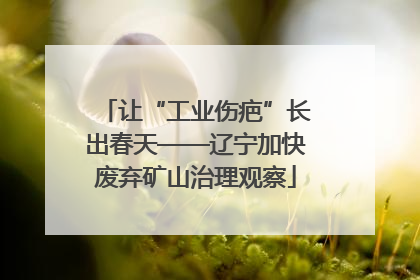 让“工业伤疤”长出春天——辽宁加快废弃矿山治理观察