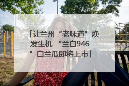 让兰州“老味道”焕发生机 “兰白946”白兰瓜即将上市