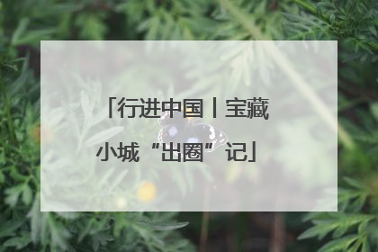 行进中国丨宝藏小城“出圈”记