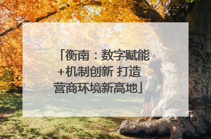 衡南：数字赋能+机制创新 打造营商环境新高地