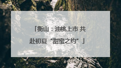衡山：油桃上市 共赴初夏“甜蜜之约”