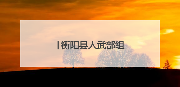 衡阳县人武部组织全县专武干部开展主题党日活动