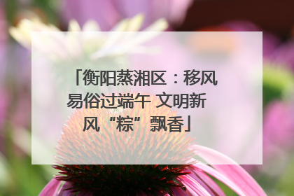 衡阳蒸湘区：移风易俗过端午 文明新风“粽”飘香