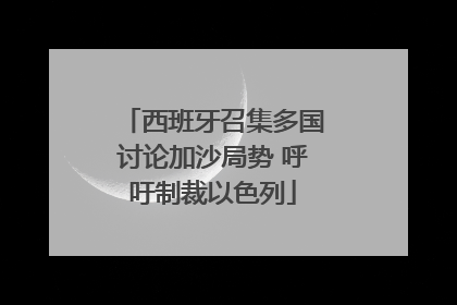 西班牙召集多国讨论加沙局势 呼吁制裁以色列