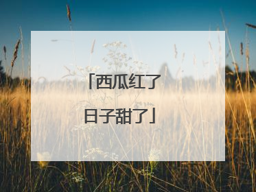 西瓜红了 日子甜了
