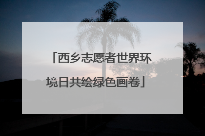 西乡志愿者世界环境日共绘绿色画卷