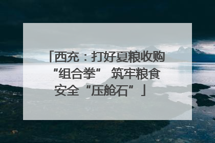 西充：打好夏粮收购“组合拳” 筑牢粮食安全“压舱石”